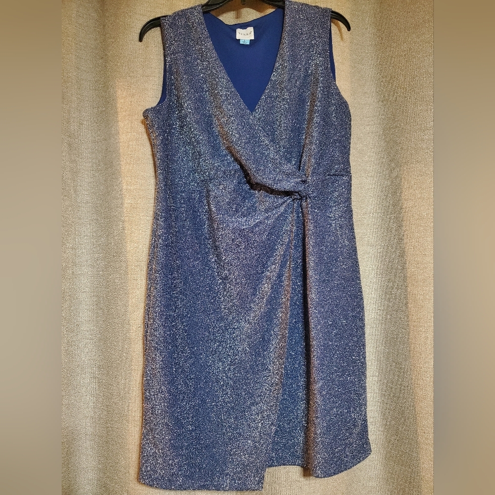Navy Blue/Blue Sparkly thread Sleeveless Dress V-neck sparkles SZ LG SERRA Brand